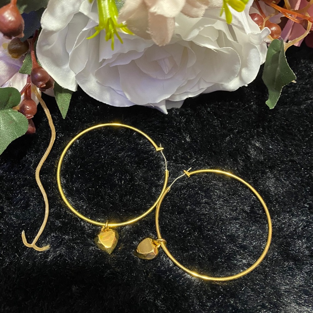 Hoop Earrings